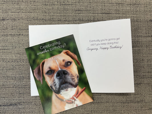 Funny Birthday Card
