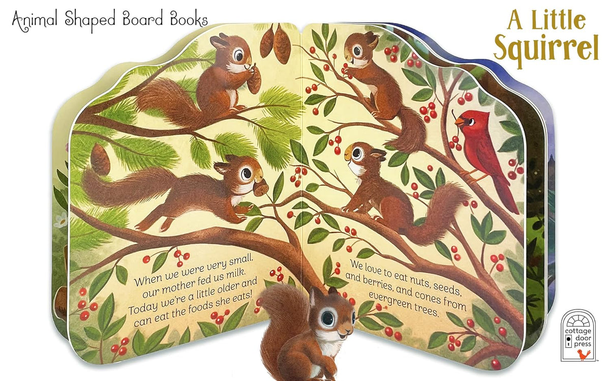 A Little Squirrel Shaped Board Book