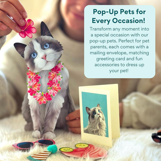 Ragdoll Pop-Up Cat