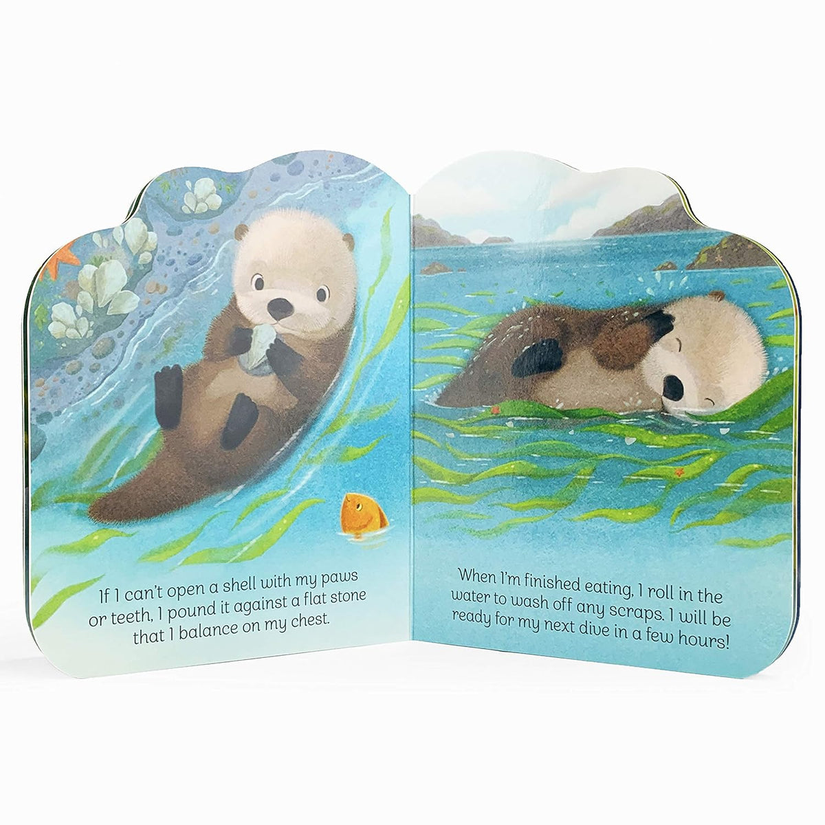 A Little Otter Shaped Board Book