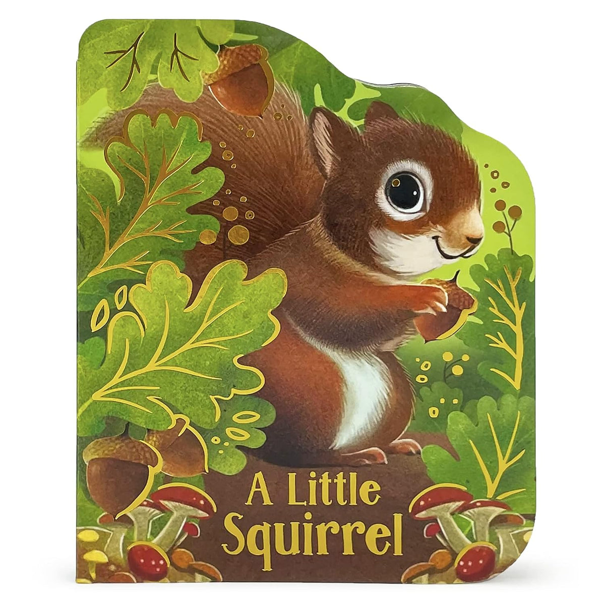 A Little Squirrel Shaped Board Book