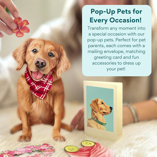 Golden Retriever Pop-Up Pup
