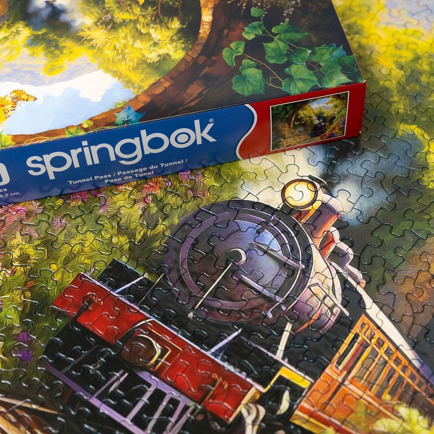 Tunnel Pass 1000 Piece Jigsaw Puzzle