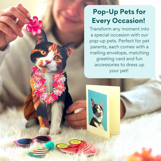 Calico Pop-Up Cat