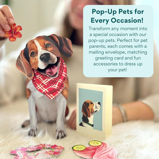Beagle Pop-Up Pup