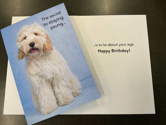 The Secret to Staying Young Value Birthday Card