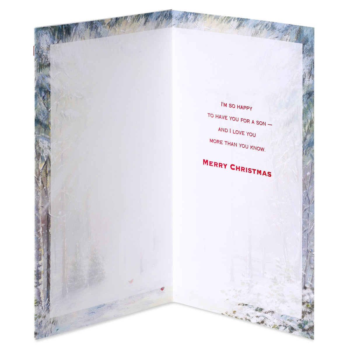 Christmas Card for Son (Bright and Gifted)