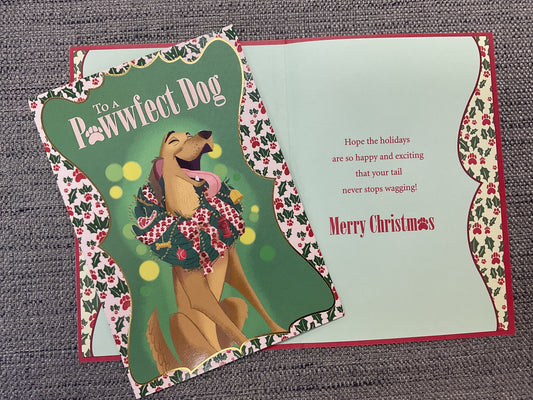 To the Dog Christmas Card