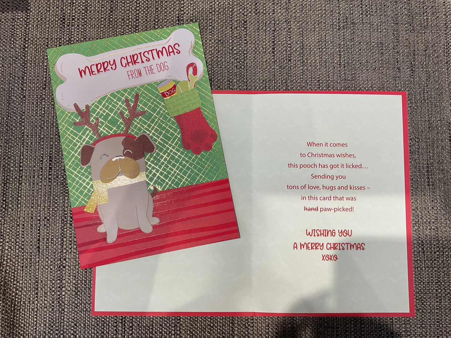 Christmas Card From the Dog