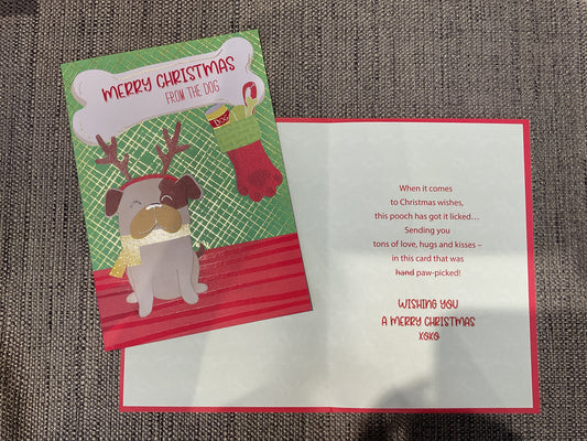Christmas Card From the Dog