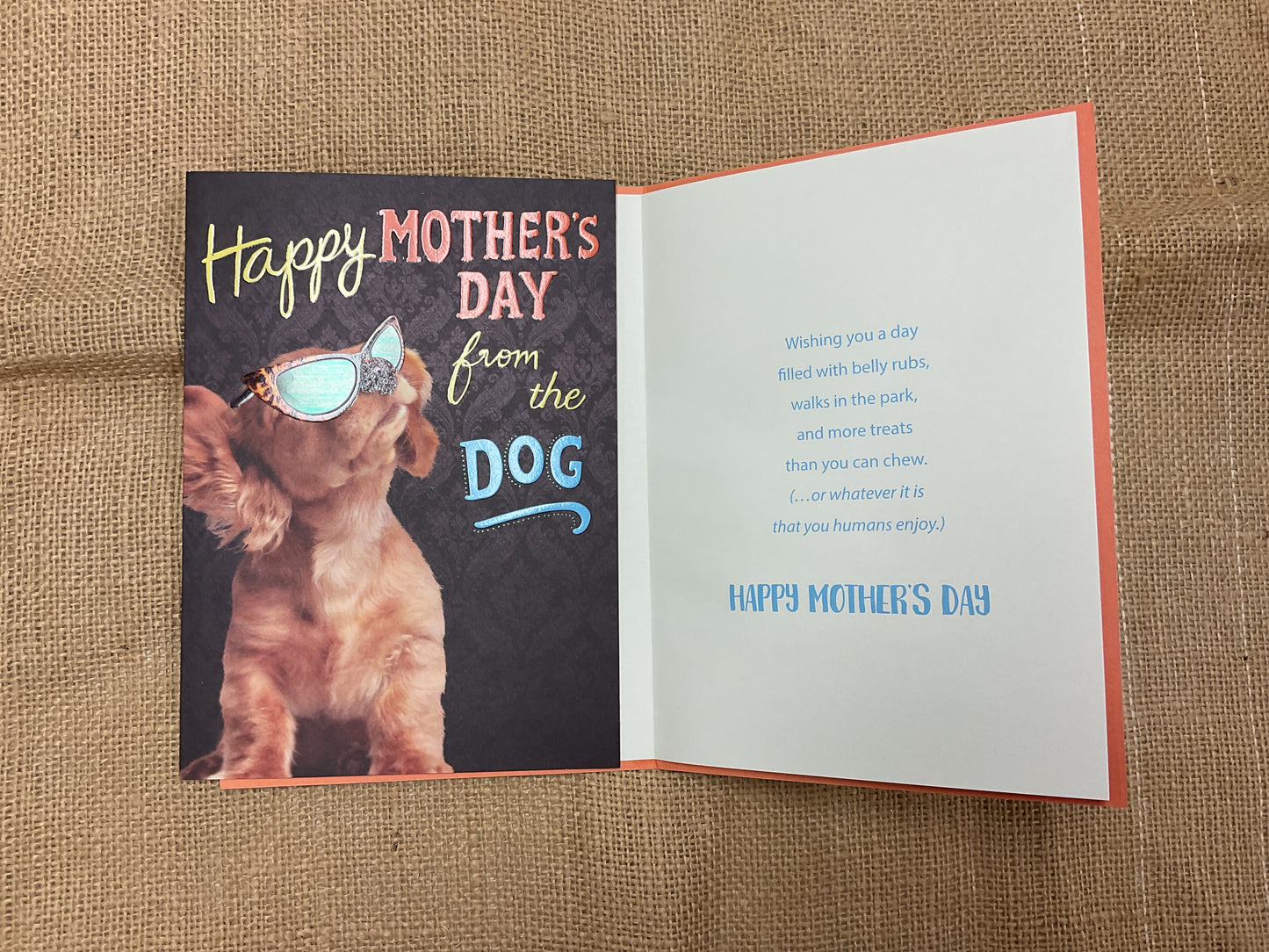 from Dog - Mother’s Day