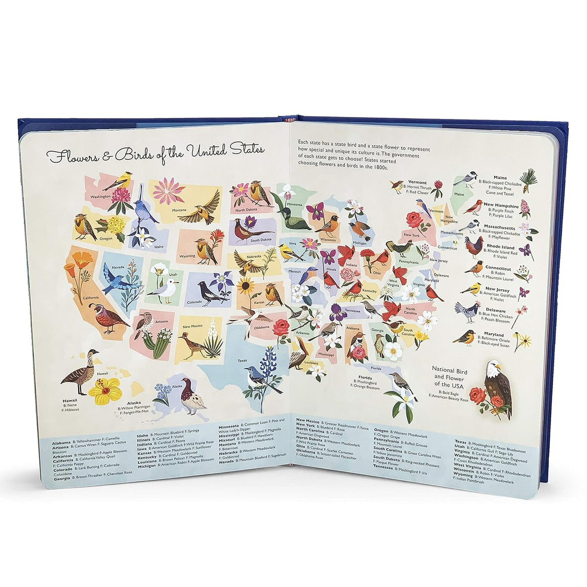 America the Beautiful - Celebrating America's History, Landmarks, Parks, Artists, Food, Maps, And More!