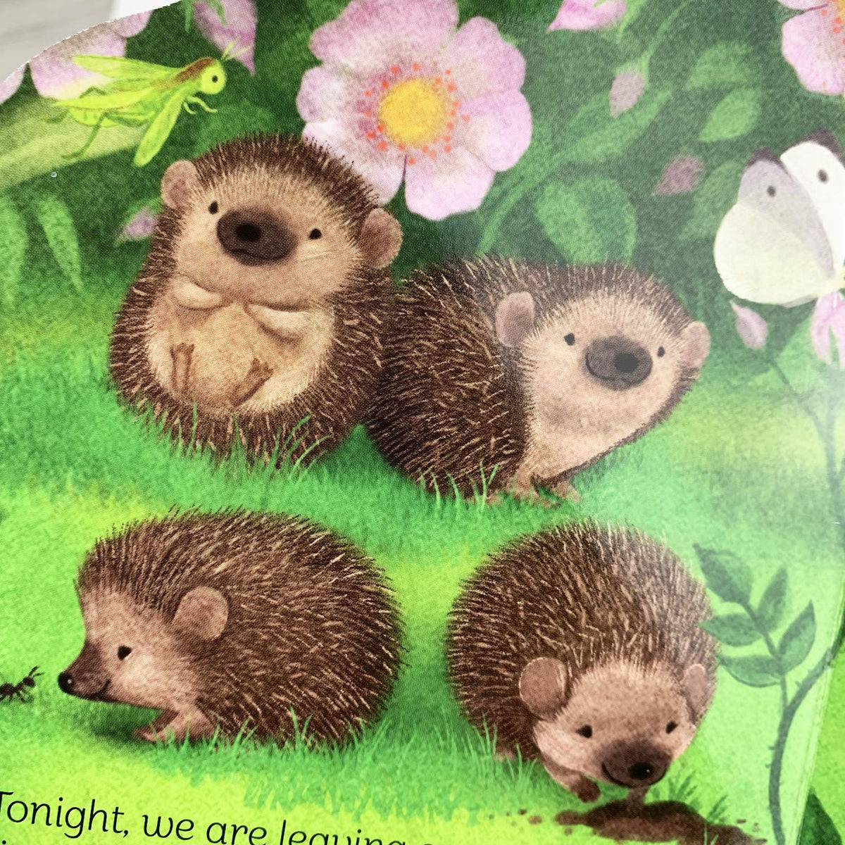 A Little Hedgehog Shaped Board Book