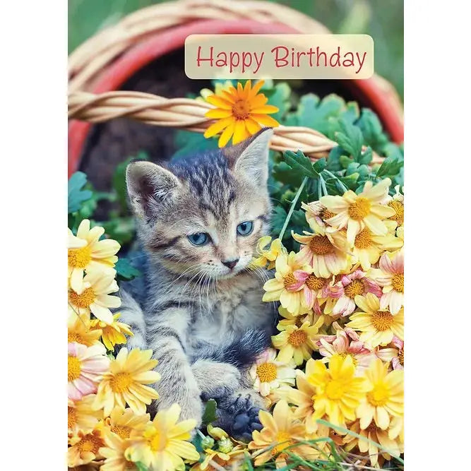 Birthday Card