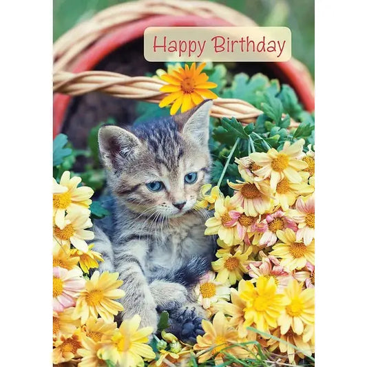 Birthday Card