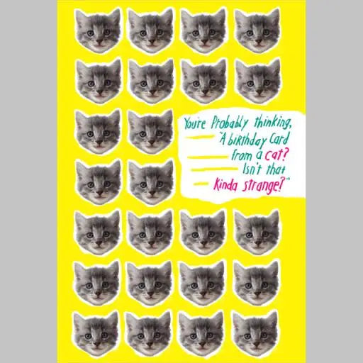 Birthday Card from Cat