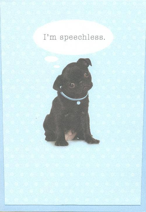 Thank You Card