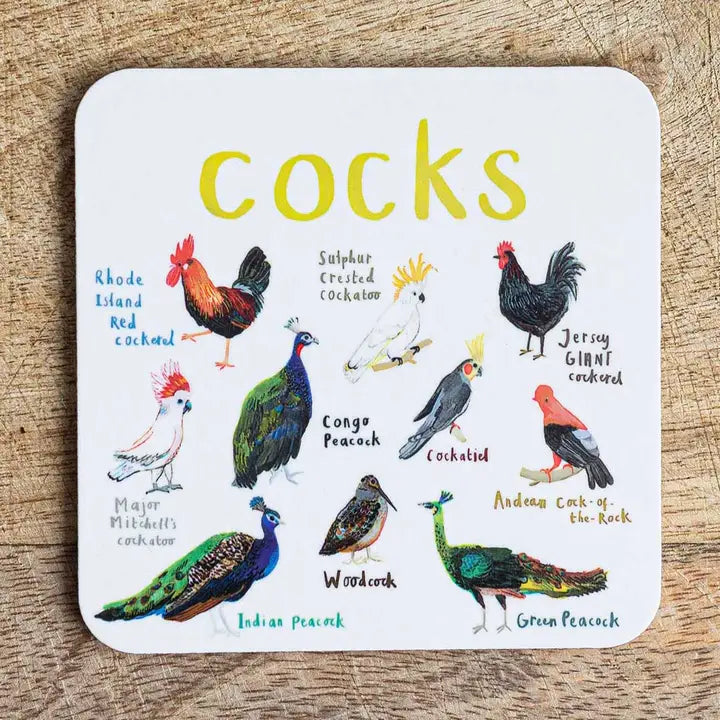 Bird Pun Coasters