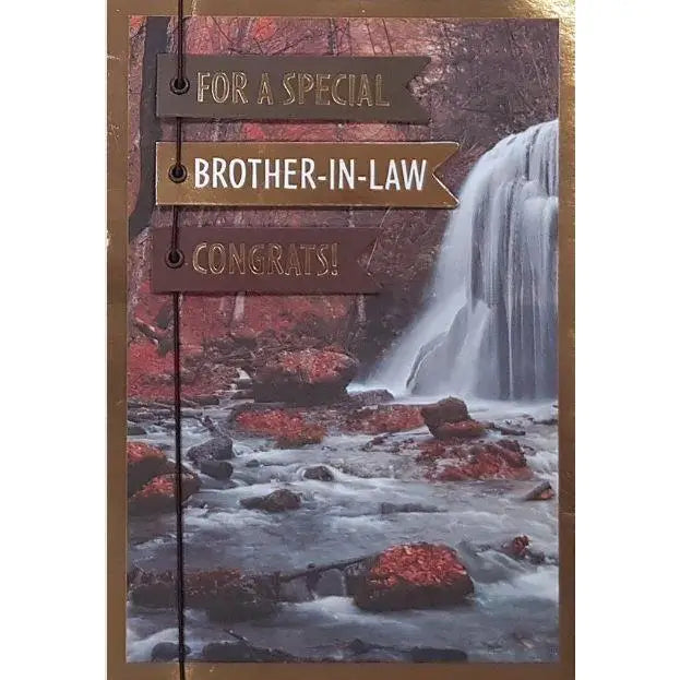 Brother-in-Law Birthday Card