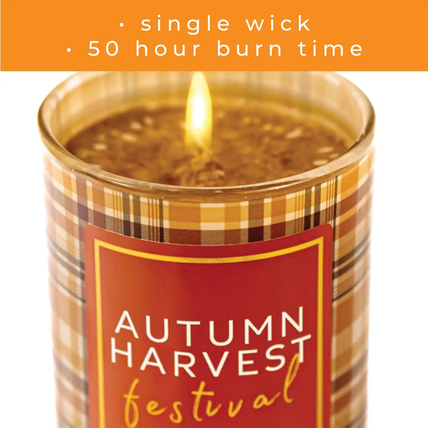Autumn Harvest Festival 10 oz Candle
