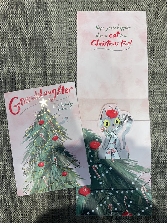 Granddaughter Christmas Card