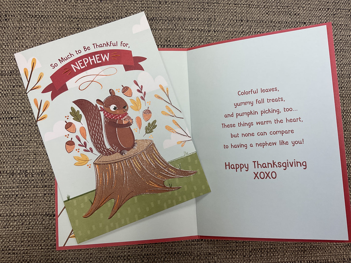 So Much to be Thankful For, Nephew
