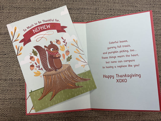 So Much to be Thankful For, Nephew