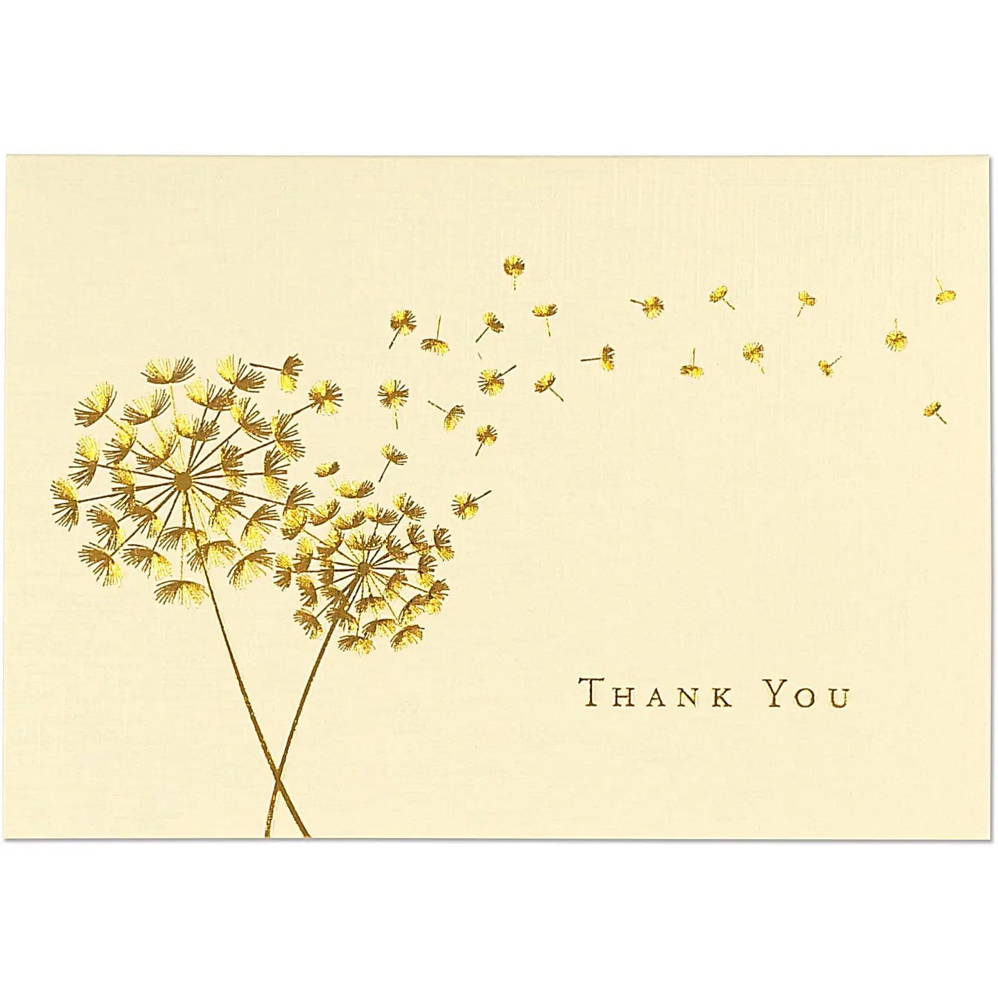 Thank You Notes