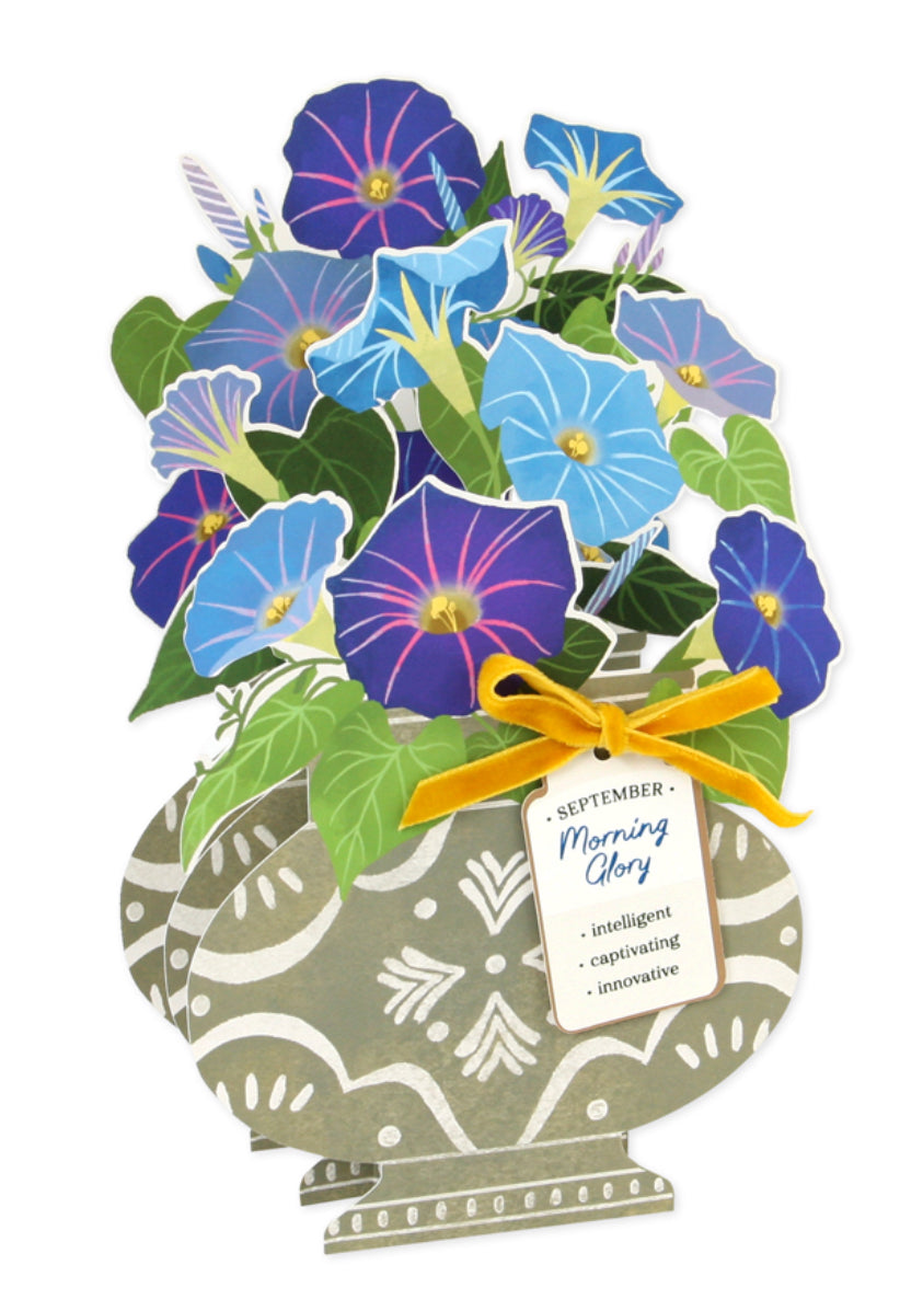 Birth Flower Collection Pop-Up Flowers Dedicated to Each Month