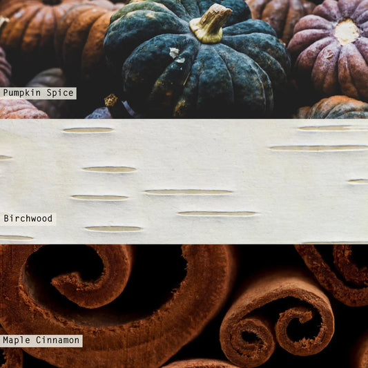 Midnight Pumpkin Collection