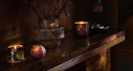 Midnight Pumpkin Collection