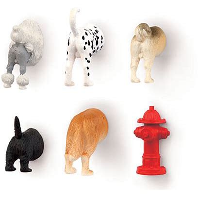 Dog Butt Magnets