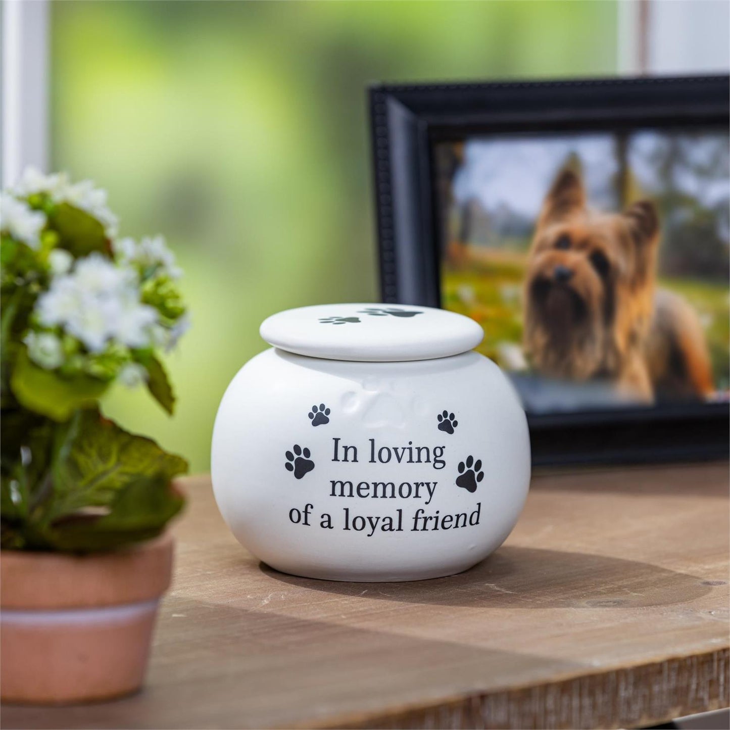 Pet Urn, In Loving Memory
