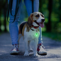 Pet Blinkers - Small Breed