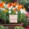 Mom Kept Me Alive Plant Pick