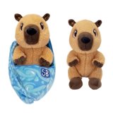 Swaddle Babies