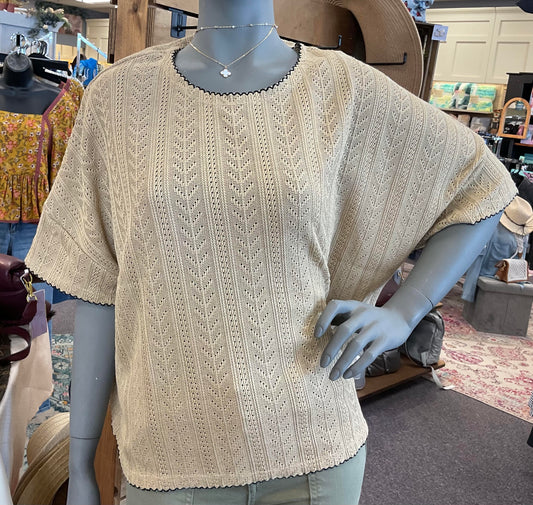 Taupe Short Sleeve Knit Sweater