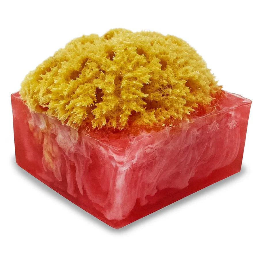 Sponge Bar Glycerin Bar Soap