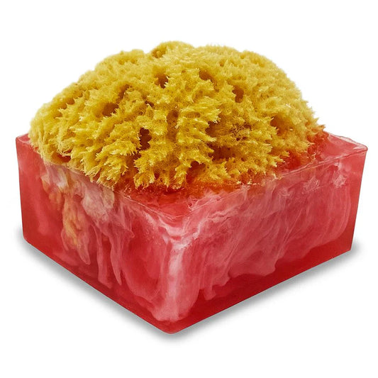 Sponge Bar Glycerin Bar Soap