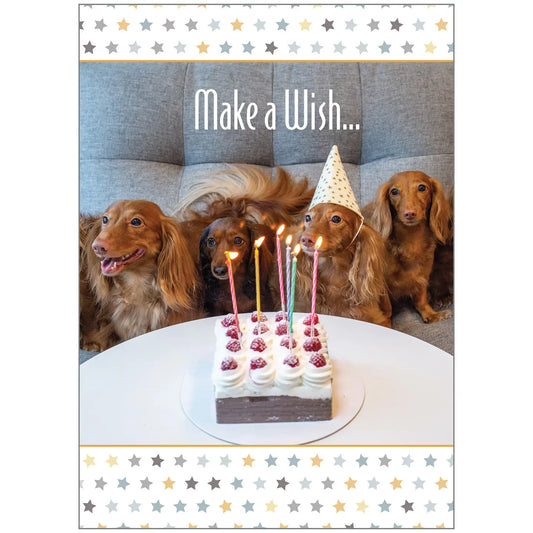 Make a Wish