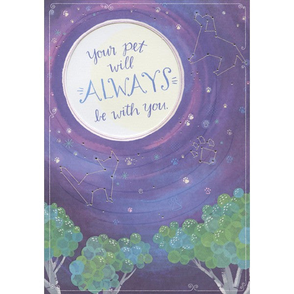 Cat and Dog Constellations Pet Sympathy Card