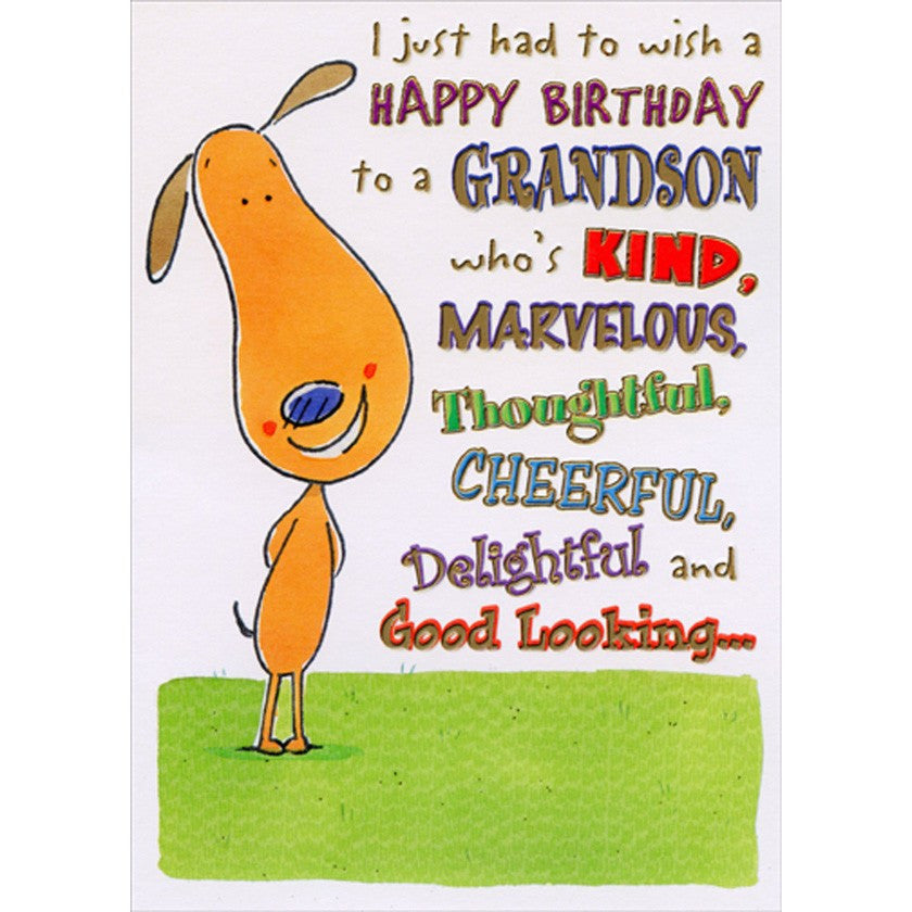 Grandson Birthday Card