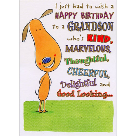 Grandson Birthday Card