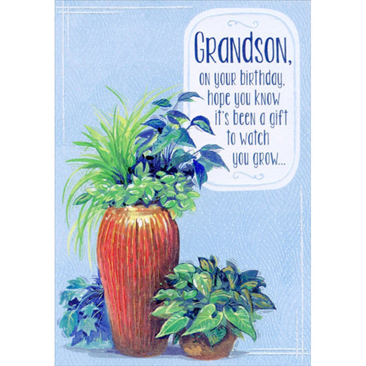 Grandson Birthday
