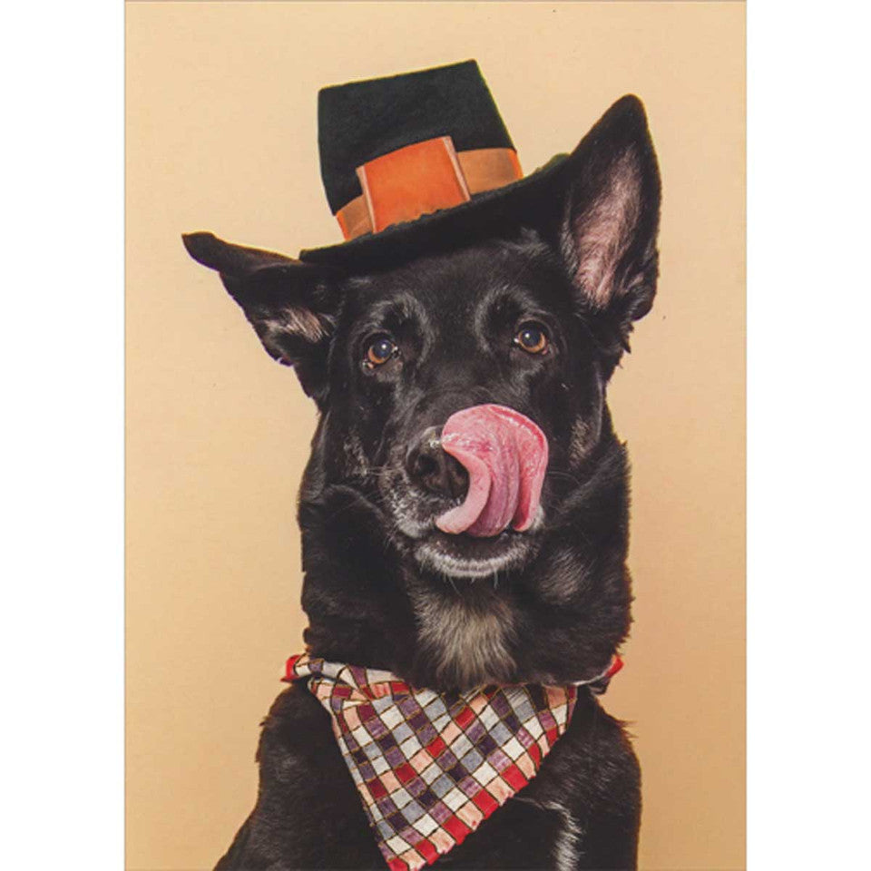 Thanksgiving Funny