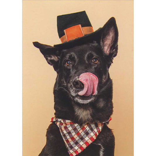 Thanksgiving Funny