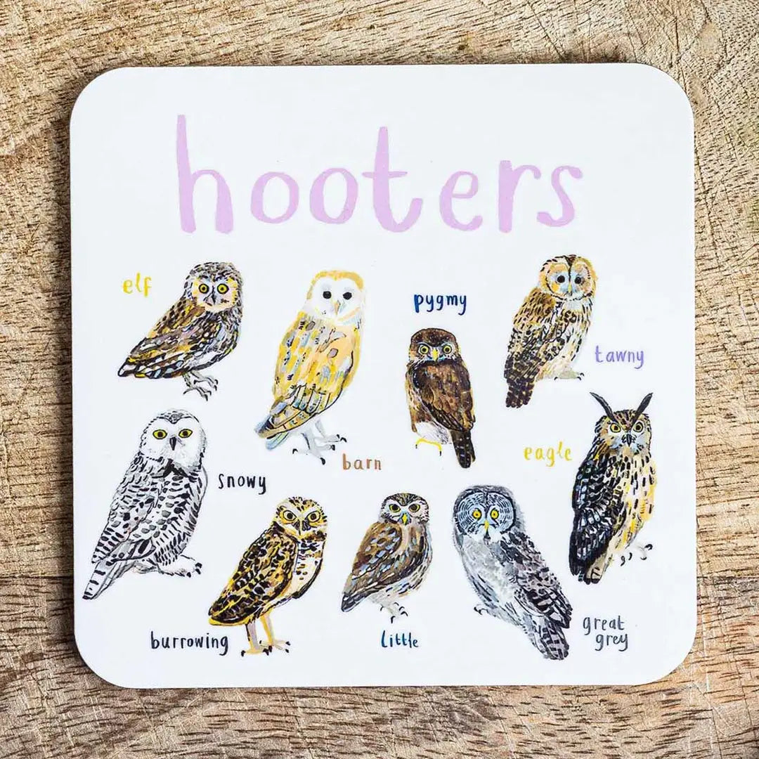Bird Pun Coasters