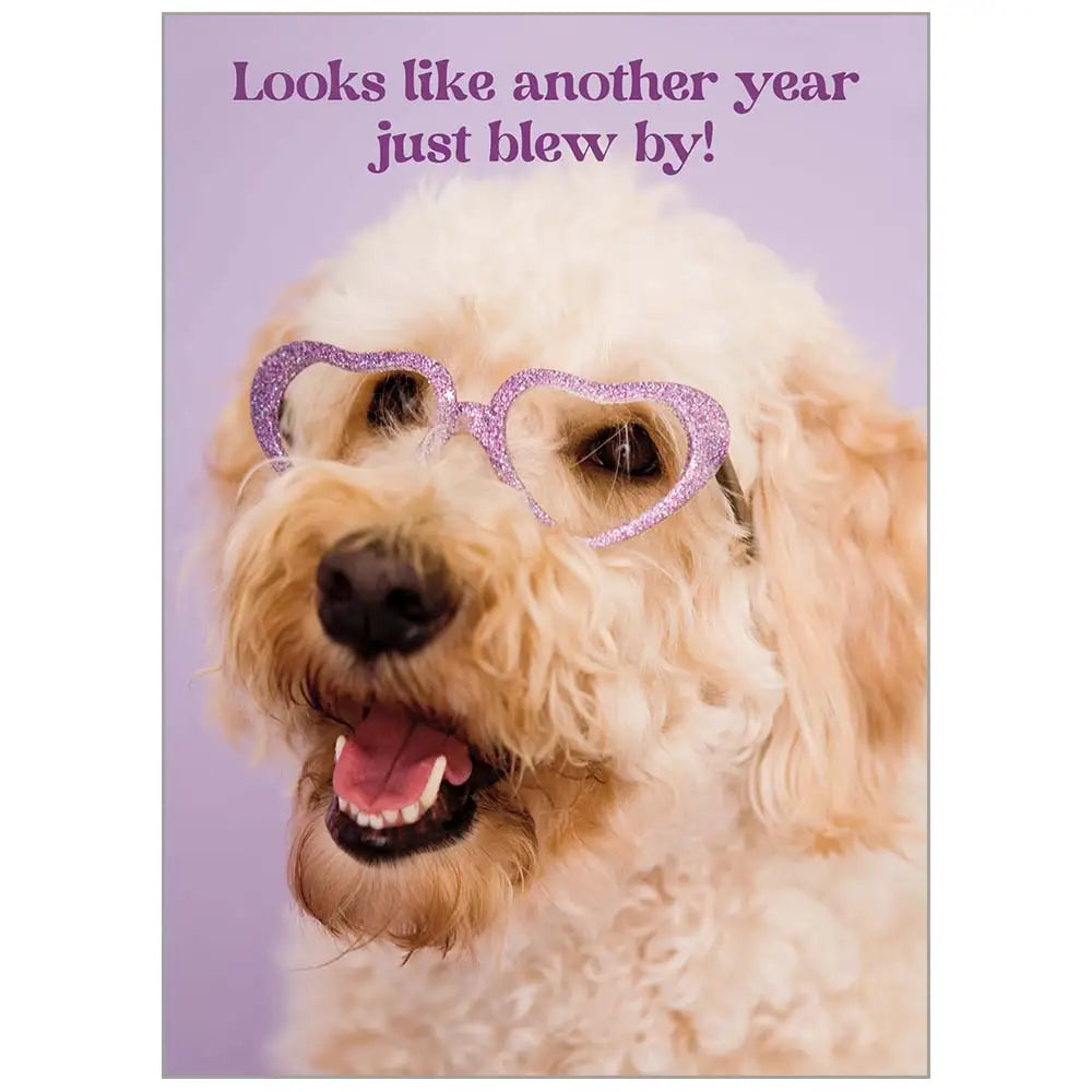 Heart Framed Glasses Dog - Birthday Value Card