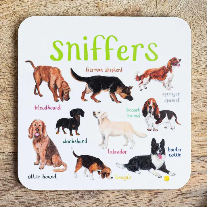 Wild Pun Coasters