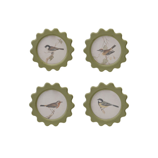 Wall Décor with Vintage Bird Art, 4 Styles